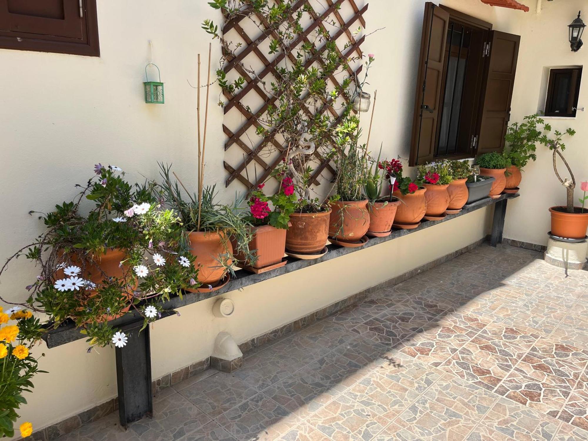 Eleni Rooms Rhodes City المظهر الخارجي الصورة